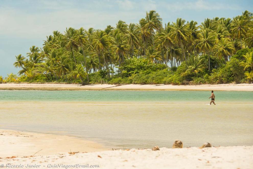 Imagem de um rapaz entrando no mar da Praia da Ponta dos Castelhanos.